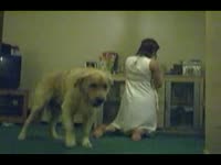 Adorable never before seen coed gets drilled by strong K9 in this shocking bestiality video